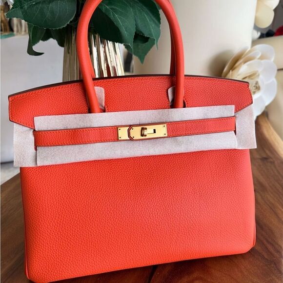 Hermes Handbags - 100% authentic Hermes birkin 30 feu orange togo ghw stamp T